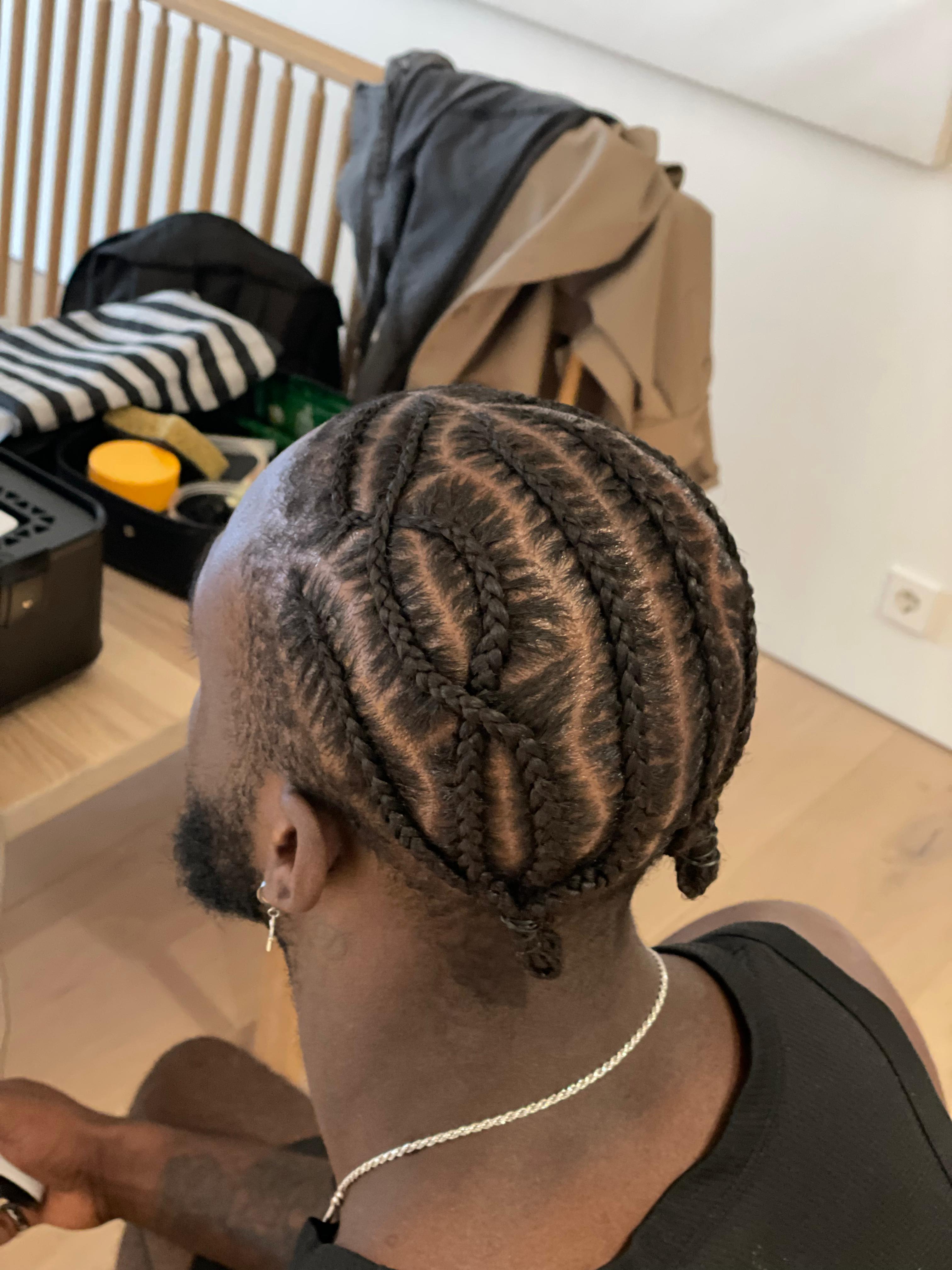 Braids Style 12